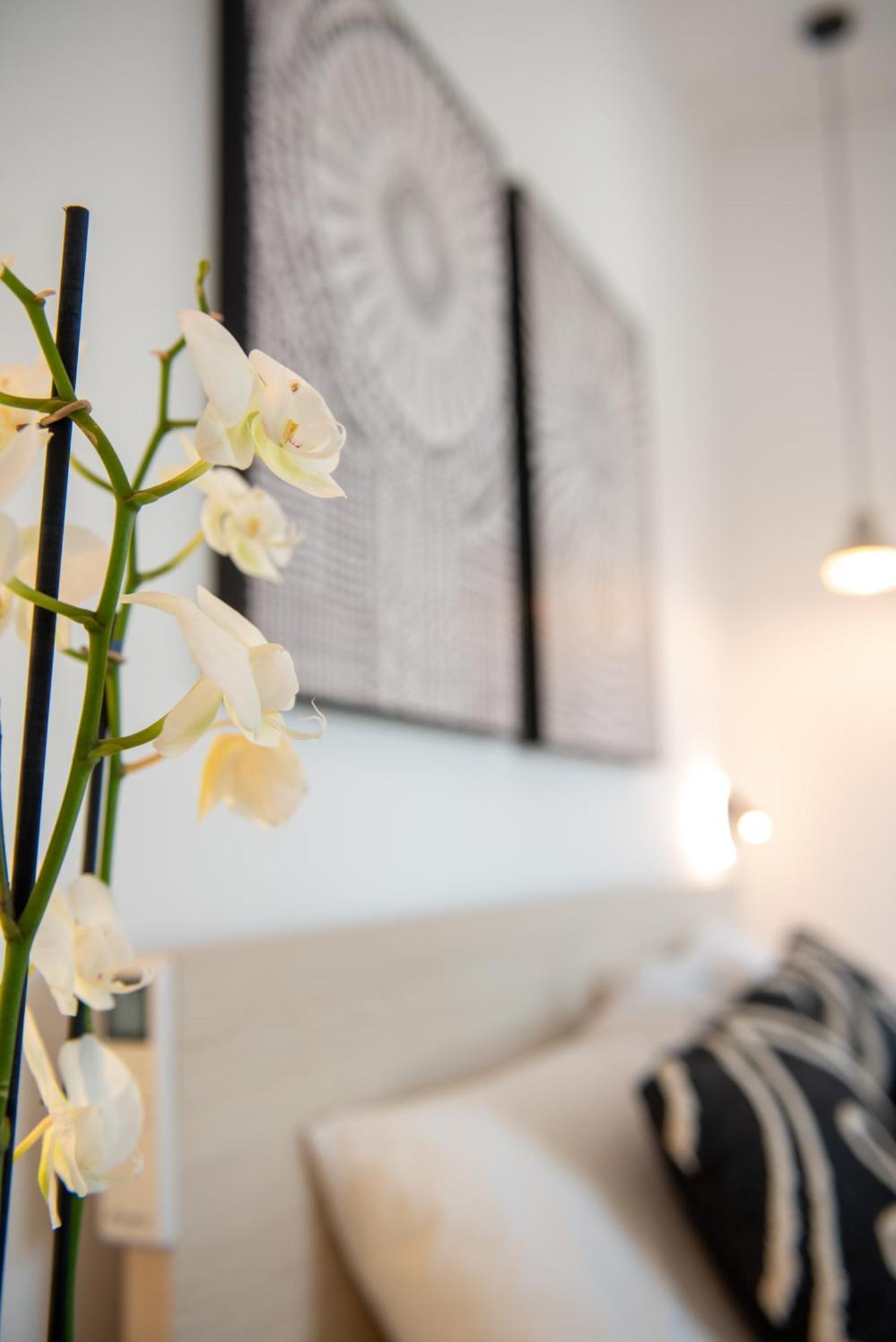 Tiffanys Villas Mykonos Town Zewnętrze zdjęcie